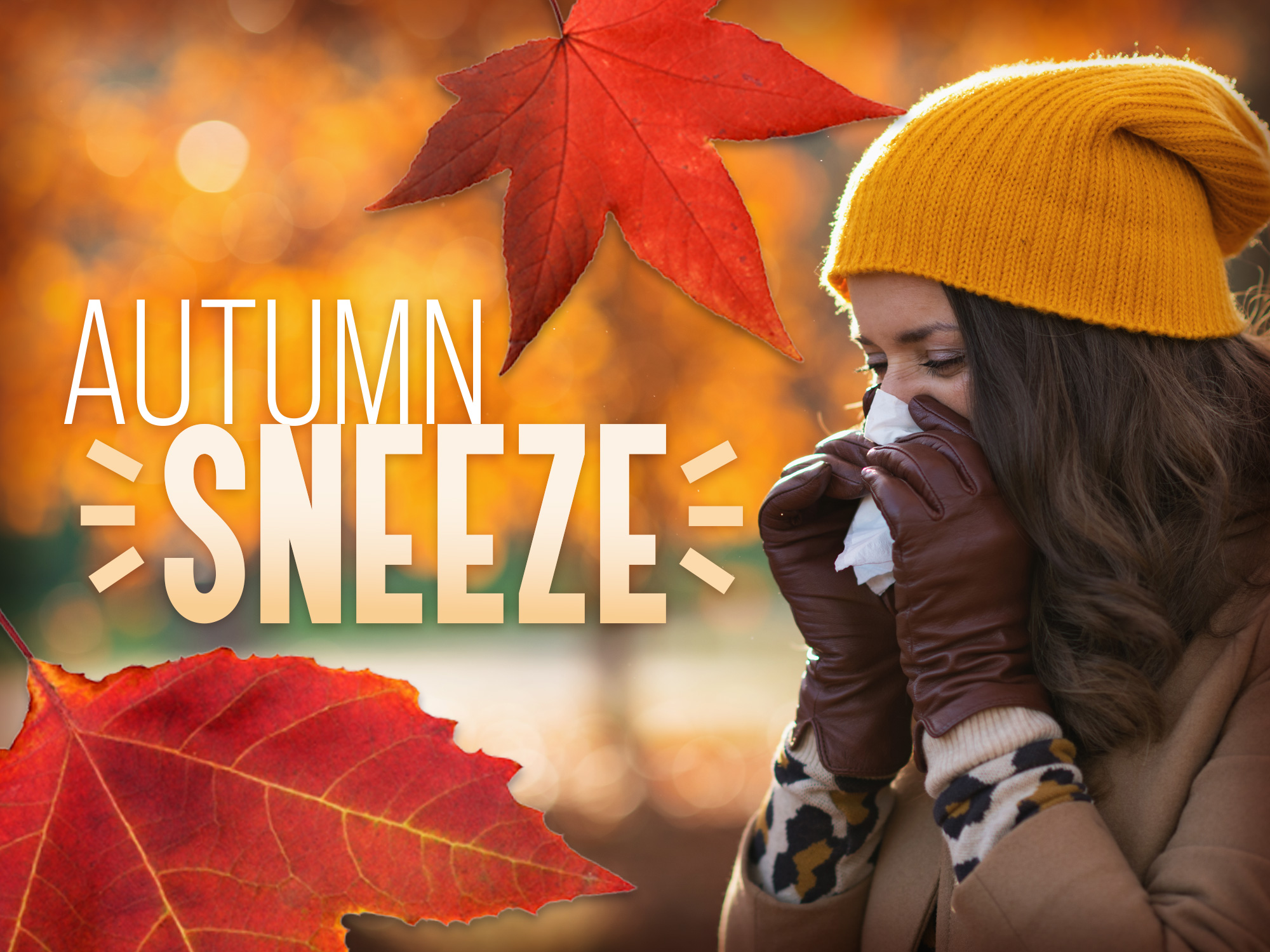 Autumn Sneeze